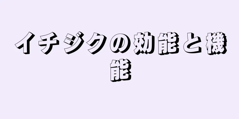 イチジクの効能と機能