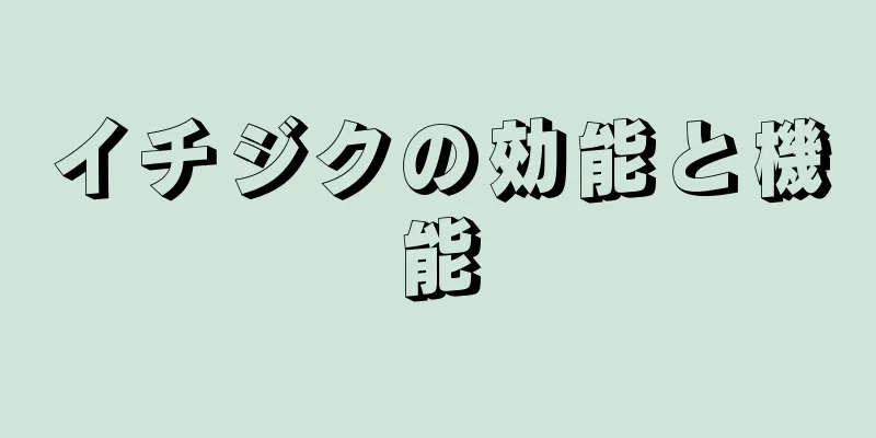 イチジクの効能と機能