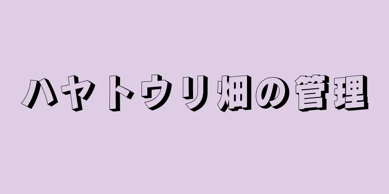ハヤトウリ畑の管理