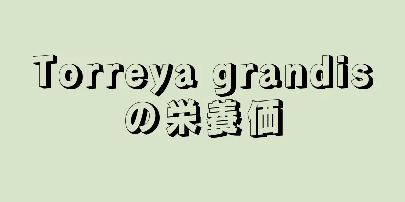 Torreya grandisの栄養価