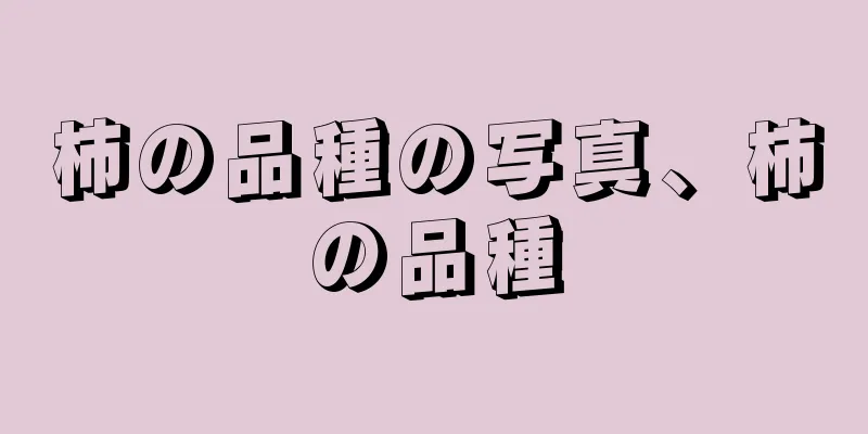柿の品種の写真、柿の品種