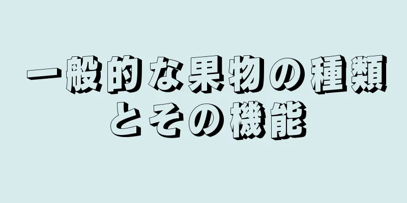 一般的な果物の種類とその機能