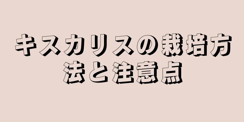 キスカリスの栽培方法と注意点