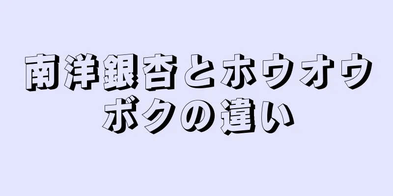 南洋銀杏とホウオウボクの違い