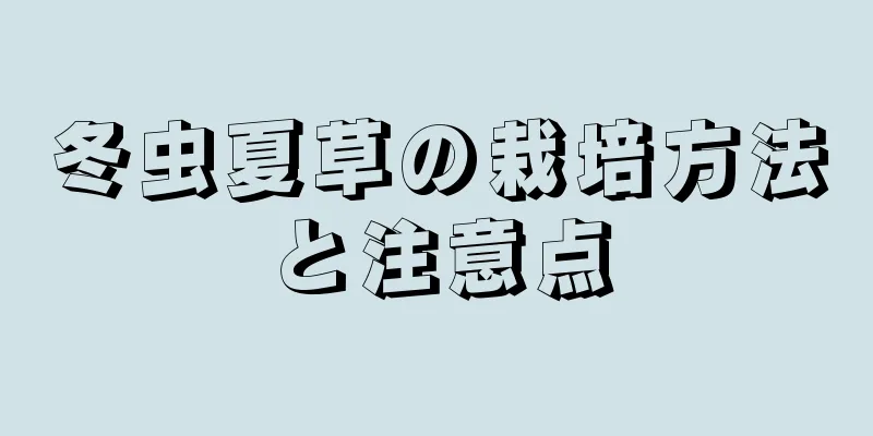 冬虫夏草の栽培方法と注意点