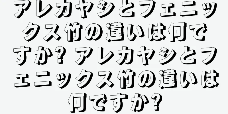 アレカヤシとフェニックス竹の違いは何ですか? アレカヤシとフェニックス竹の違いは何ですか?