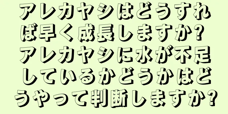 アレカヤシはどうすれば早く成長しますか? アレカヤシに水が不足しているかどうかはどうやって判断しますか?