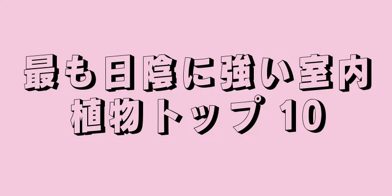 最も日陰に強い室内植物トップ 10