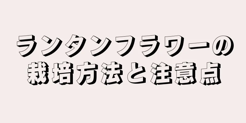 ランタンフラワーの栽培方法と注意点