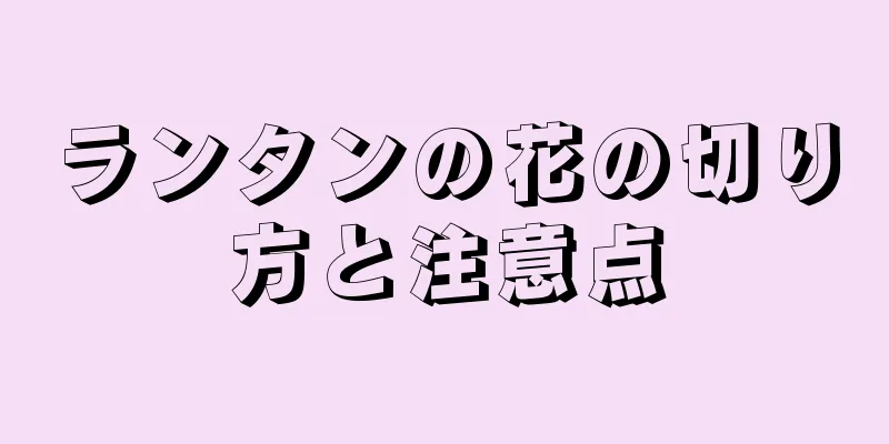 ランタンの花の切り方と注意点