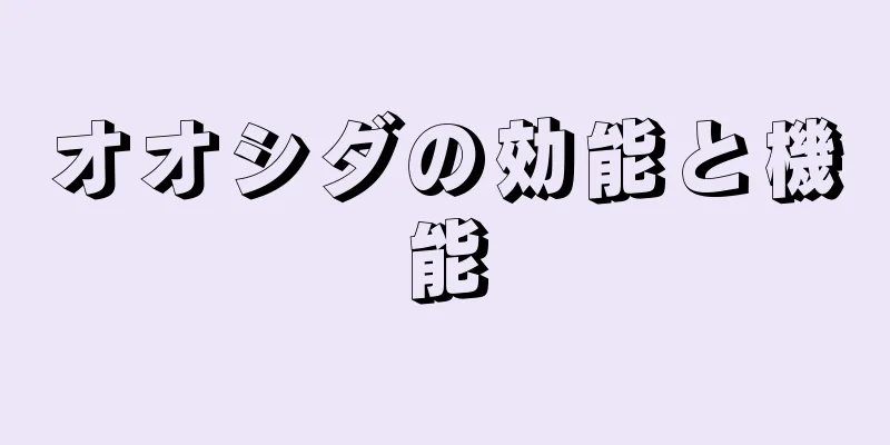 オオシダの効能と機能