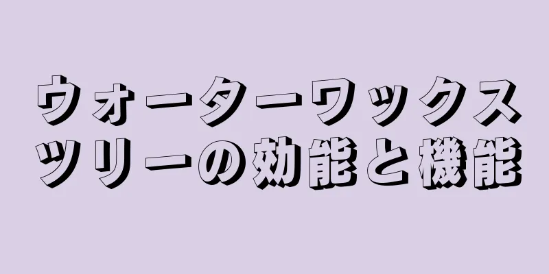 ウォーターワックスツリーの効能と機能