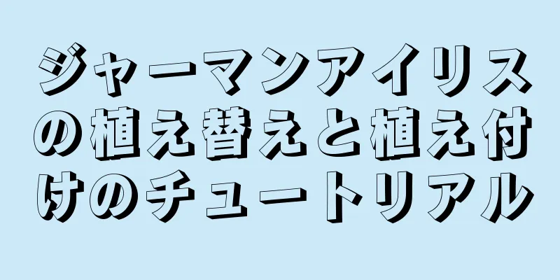 ジャーマンアイリスの植え替えと植え付けのチュートリアル