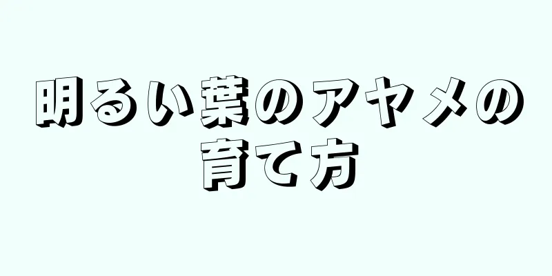 明るい葉のアヤメの育て方