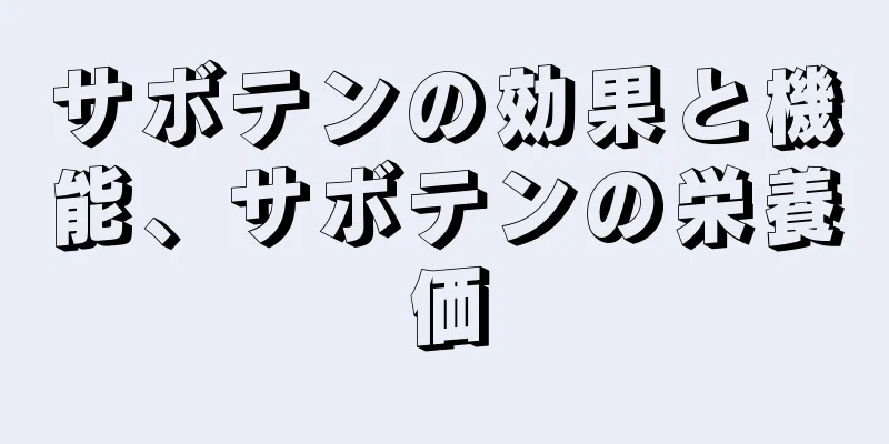 サボテンの効果と機能、サボテンの栄養価