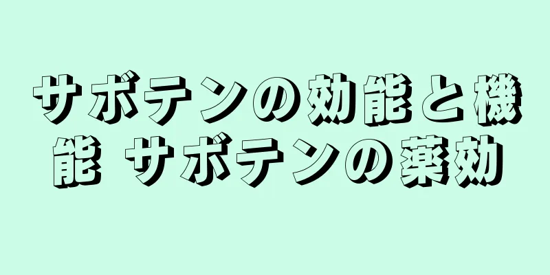 サボテンの効能と機能 サボテンの薬効