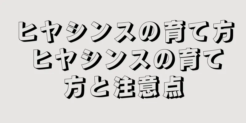 ヒヤシンスの育て方 ヒヤシンスの育て方と注意点