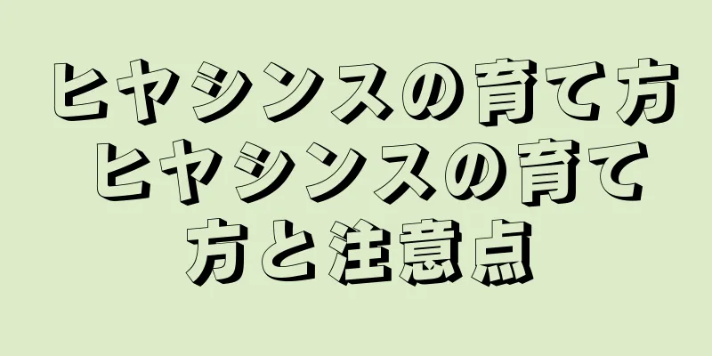 ヒヤシンスの育て方 ヒヤシンスの育て方と注意点