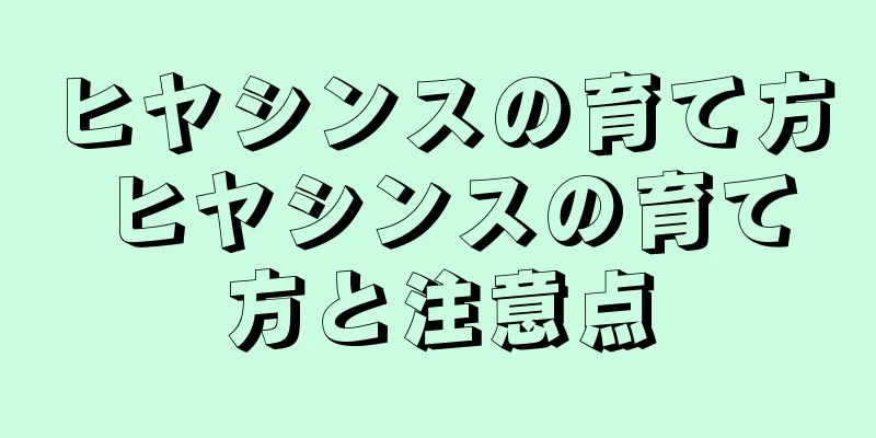 ヒヤシンスの育て方 ヒヤシンスの育て方と注意点