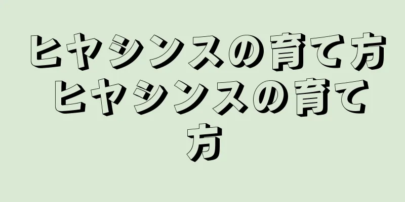 ヒヤシンスの育て方 ヒヤシンスの育て方