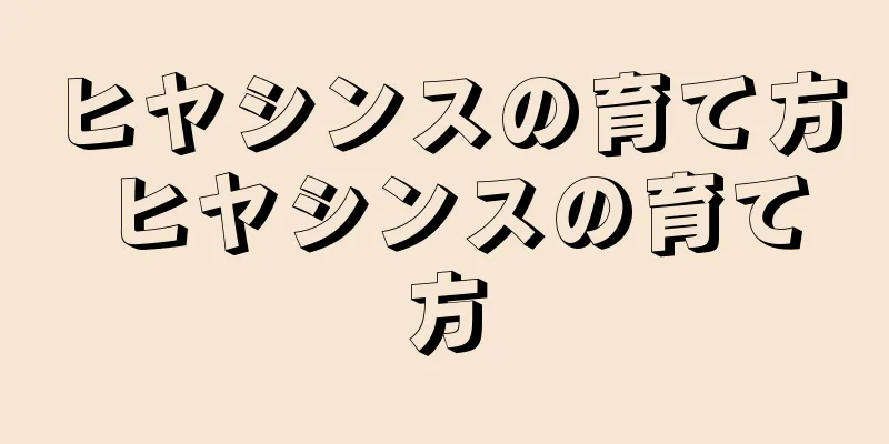 ヒヤシンスの育て方 ヒヤシンスの育て方