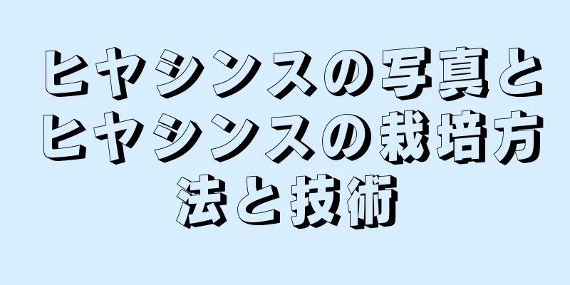 ヒヤシンスの写真とヒヤシンスの栽培方法と技術
