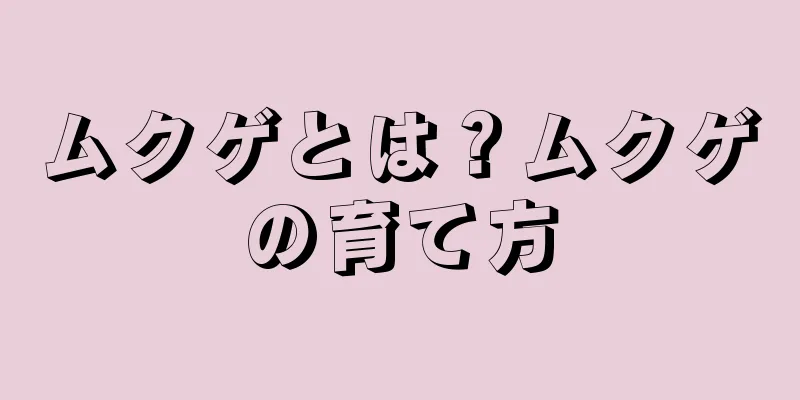 ムクゲとは？ムクゲの育て方