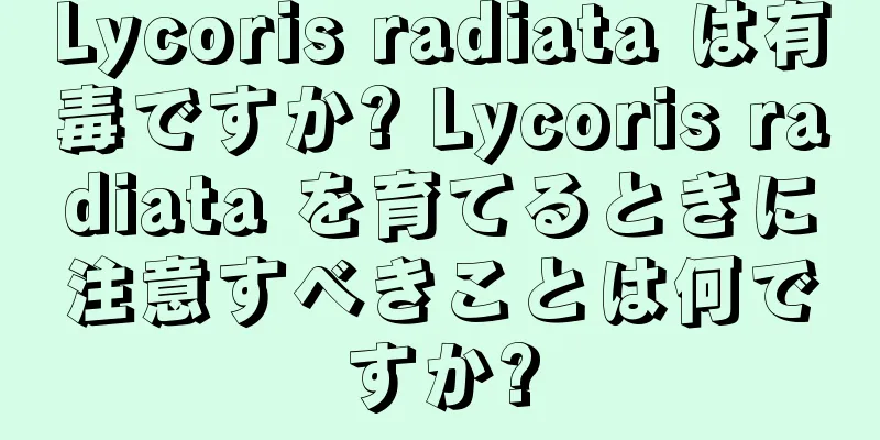 Lycoris radiata は有毒ですか? Lycoris radiata を育てるときに注意すべきことは何ですか?