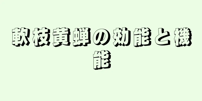 軟枝黄蝉の効能と機能