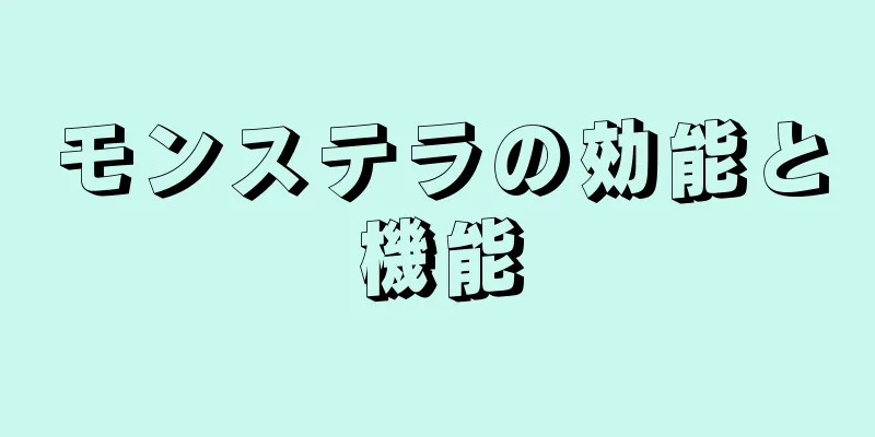 モンステラの効能と機能
