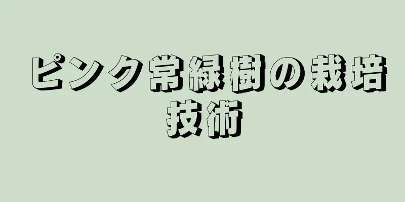 ピンク常緑樹の栽培技術