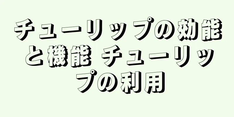 チューリップの効能と機能 チューリップの利用