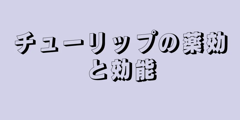 チューリップの薬効と効能