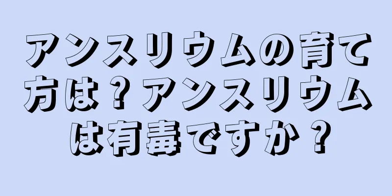 アンスリウムの育て方は？アンスリウムは有毒ですか？