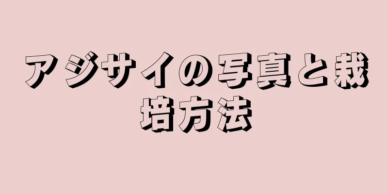 アジサイの写真と栽培方法