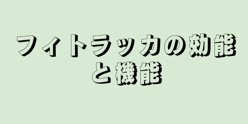 フィトラッカの効能と機能