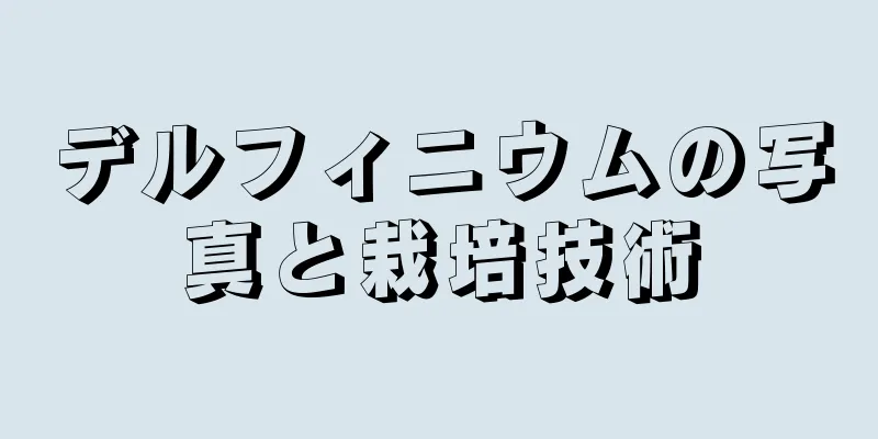 デルフィニウムの写真と栽培技術