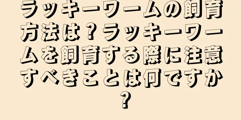 ラッキーワームの飼育方法は？ラッキーワームを飼育する際に注意すべきことは何ですか？
