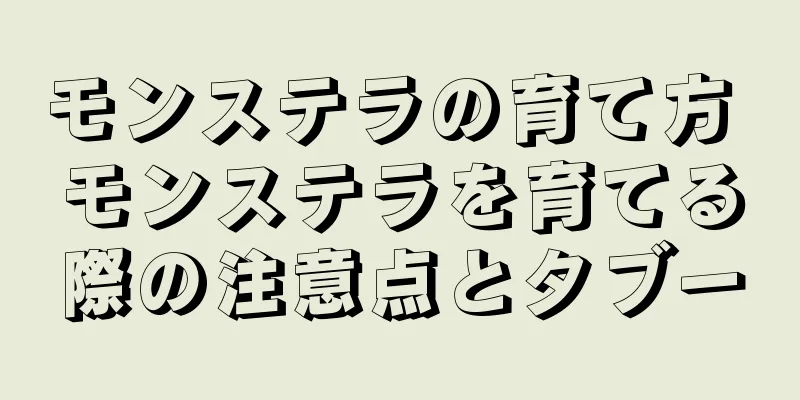 モンステラの育て方 モンステラを育てる際の注意点とタブー