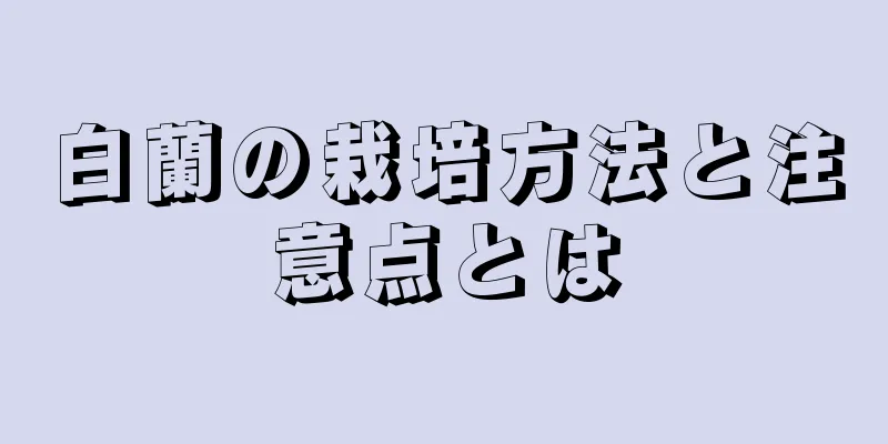白蘭の栽培方法と注意点とは
