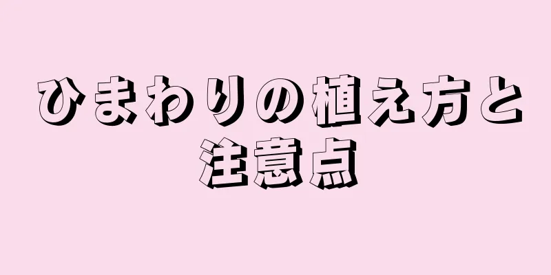 ひまわりの植え方と注意点