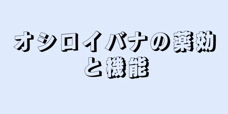 オシロイバナの薬効と機能