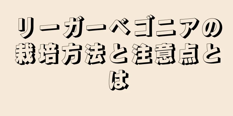 リーガーベゴニアの栽培方法と注意点とは
