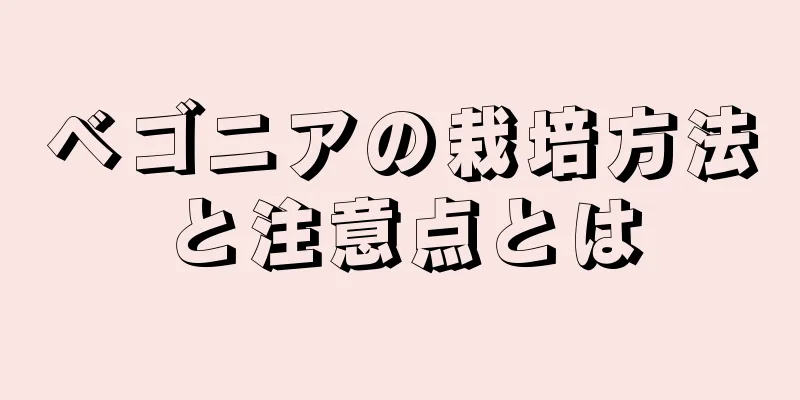 ベゴニアの栽培方法と注意点とは