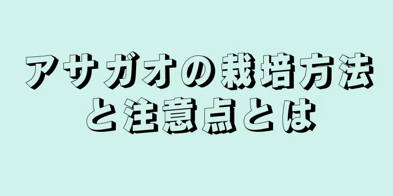 アサガオの栽培方法と注意点とは