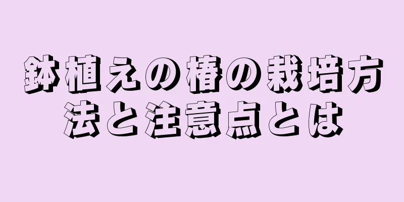 鉢植えの椿の栽培方法と注意点とは
