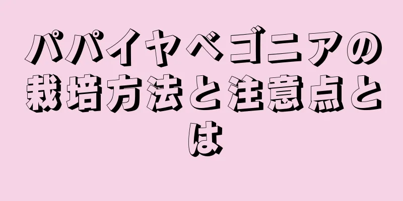 パパイヤベゴニアの栽培方法と注意点とは