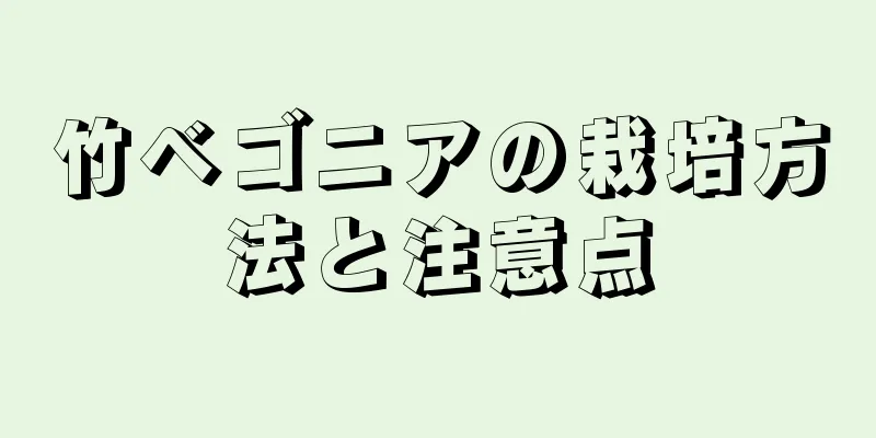 竹ベゴニアの栽培方法と注意点