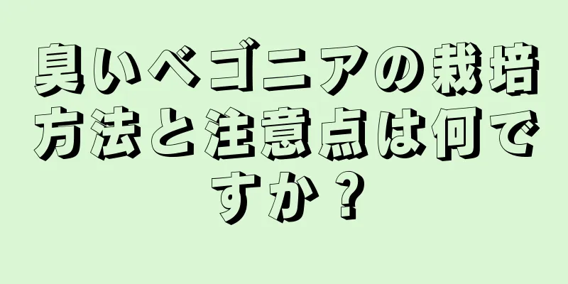臭いベゴニアの栽培方法と注意点は何ですか？