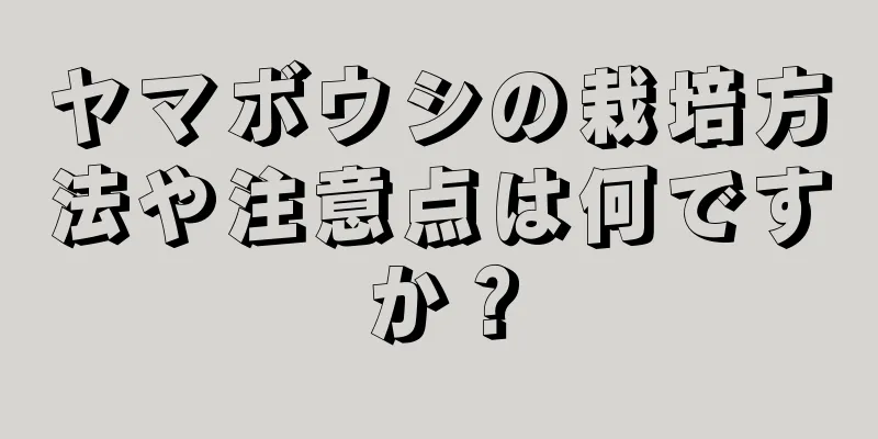 ヤマボウシの栽培方法や注意点は何ですか？
